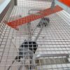 KUHN MAXIMA 3 TS 6RG